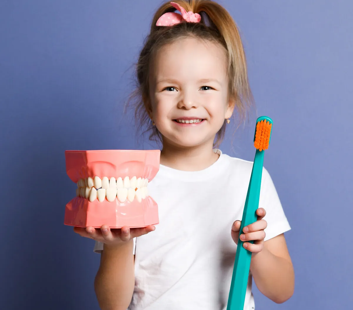 Girl holding a tooth model and toothbrush