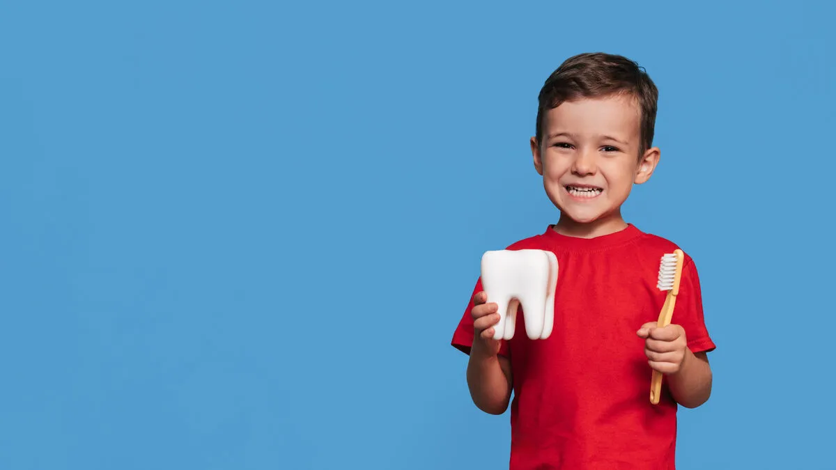 Boy holding a tooth model and toothbrush